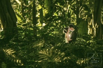 海德+树林+拥抱+双人+逆光+008