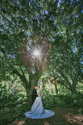 Sydney Wedding Pre-Wedding Photographer Clovergraphy 悉尼婚纱摄影 三叶草视觉 (32)